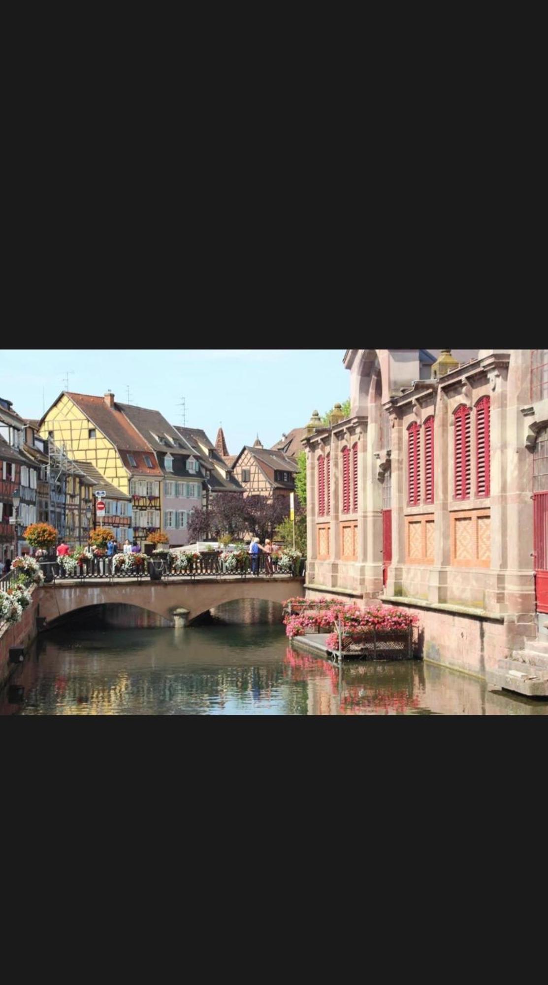 Happy Home Colmar With Private Parking Kültér fotó
